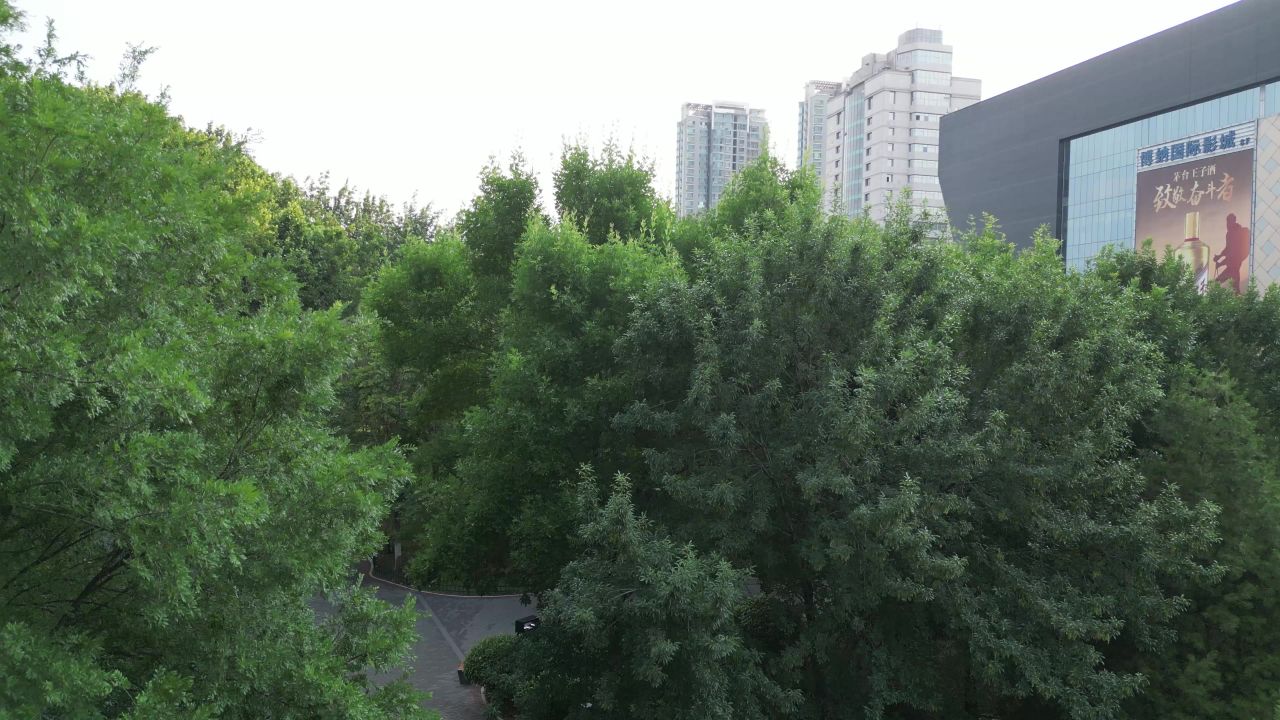  航拍淄博市人民公园
