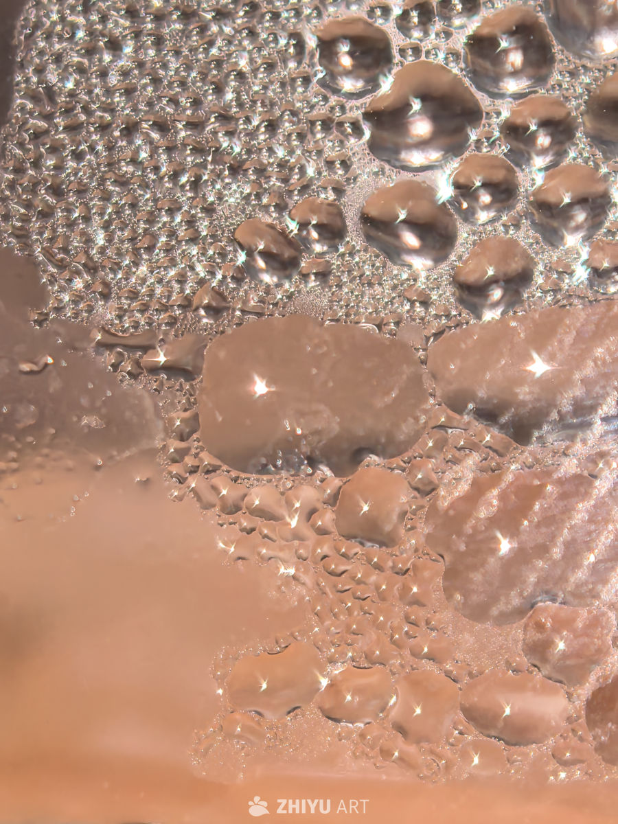 谁能猜得出来我拍的啥？