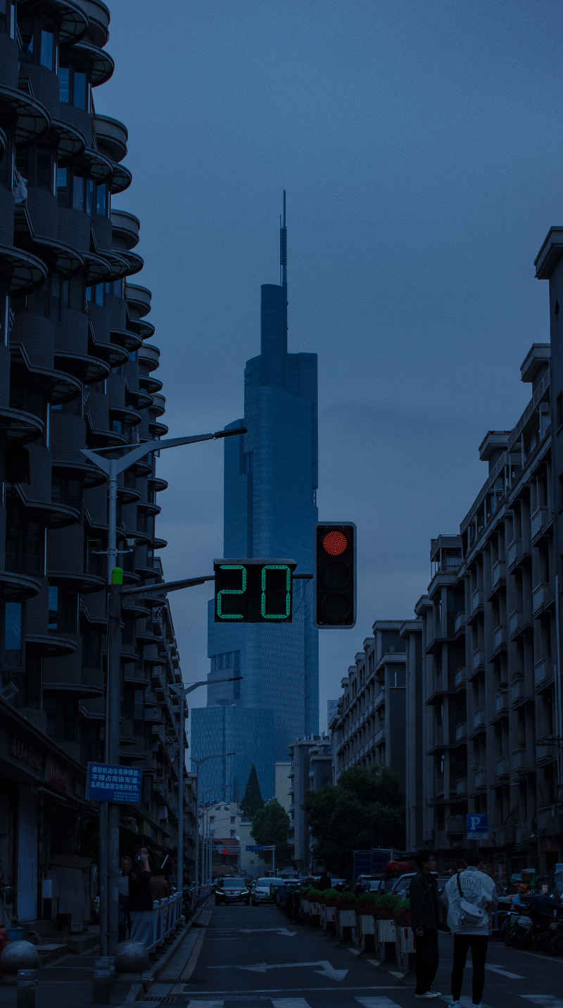 南京紫金大厦城市风光