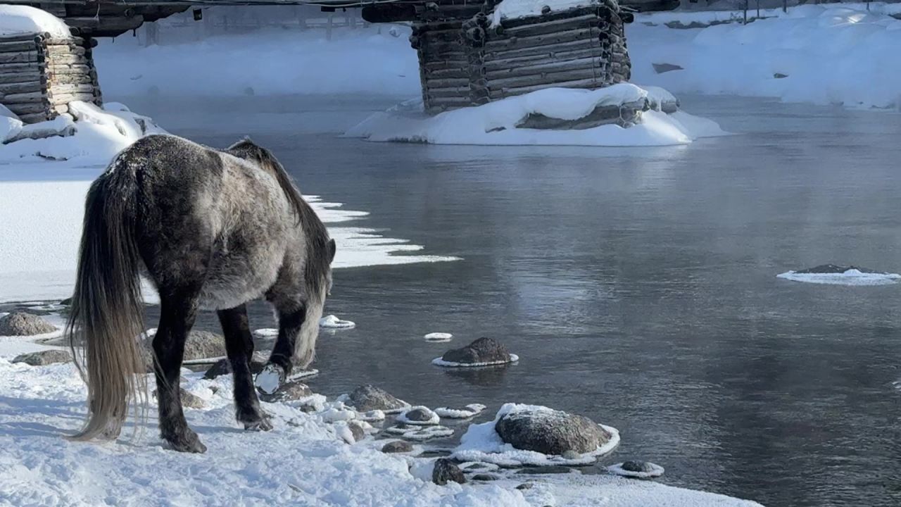 马喝水