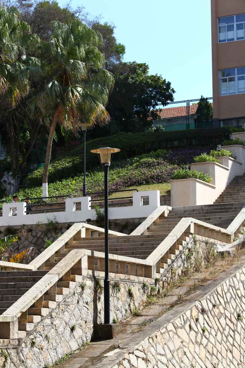 厦门 43