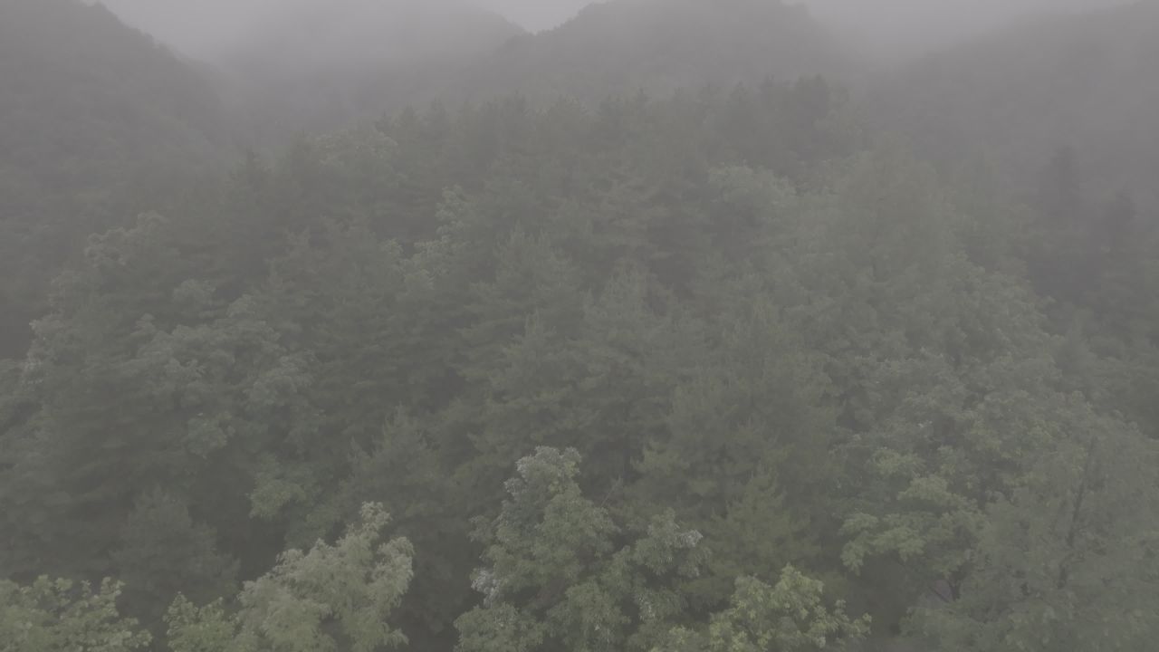 云海中的山林秘境