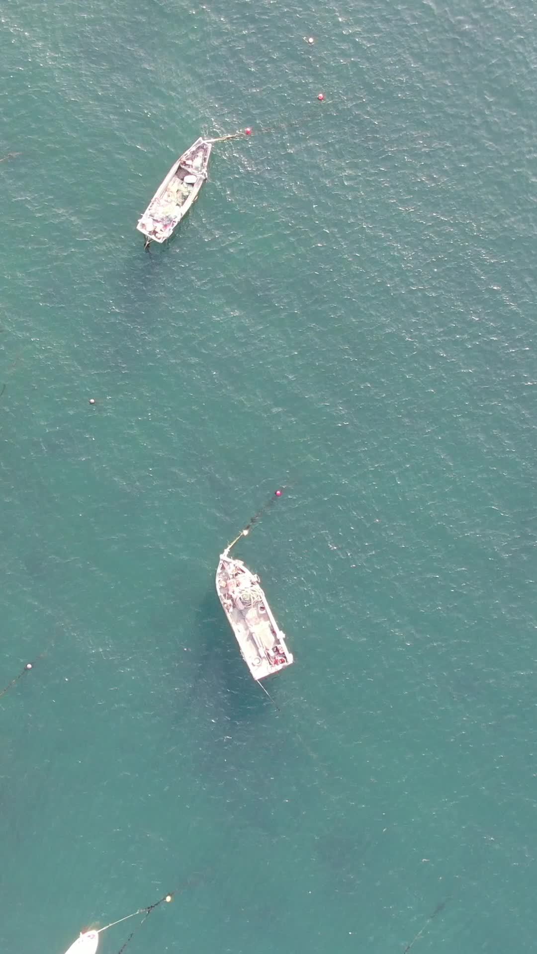 宁静的海上小舟