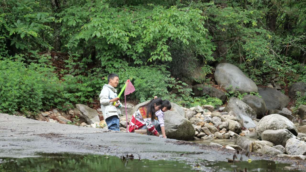 华阳古镇（三） 15