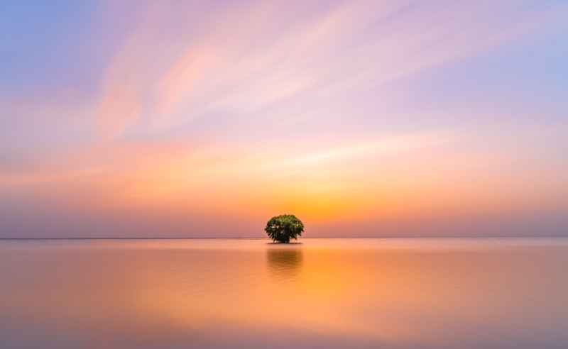 南京石臼湖孤独的树晚霞火烧云