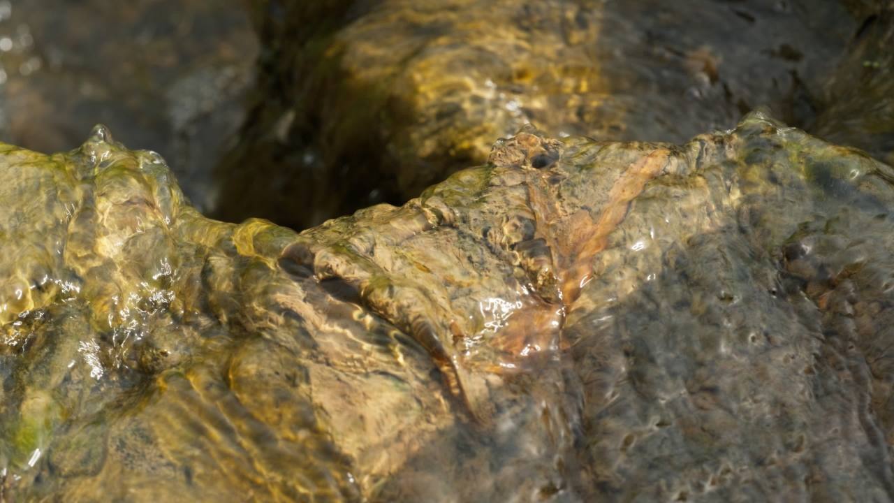 山泉水矿泉水潺潺小溪流水瀑布 11