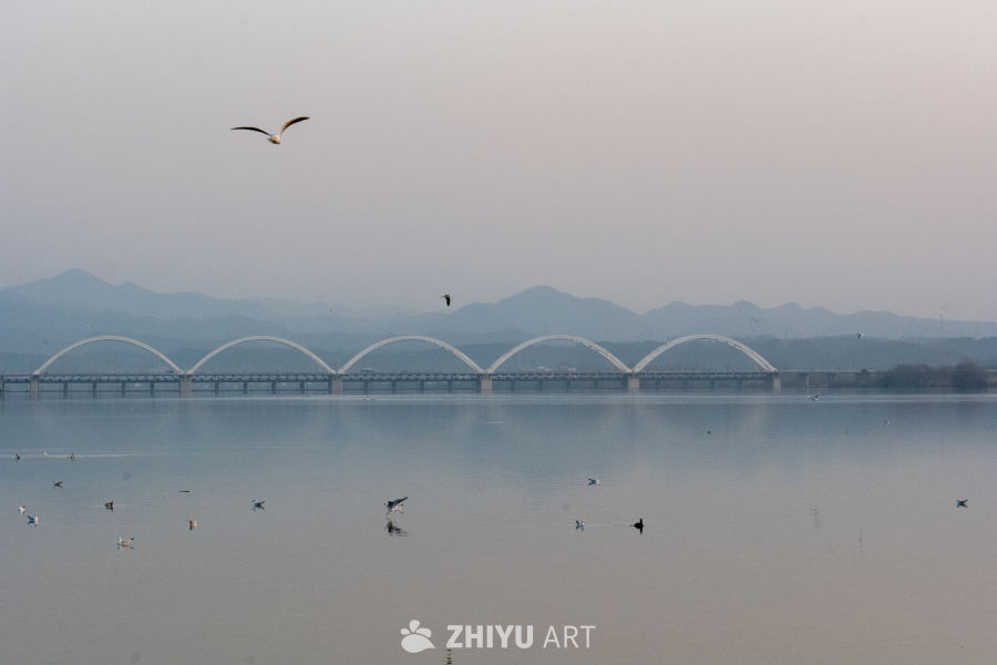 江边美景 3