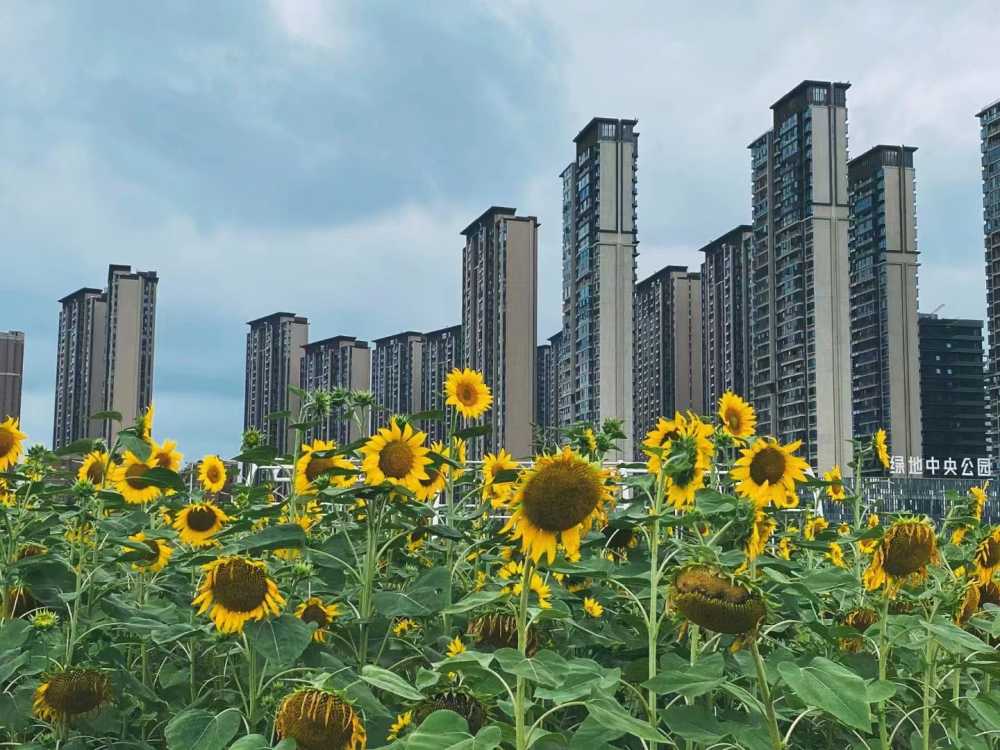 温暖