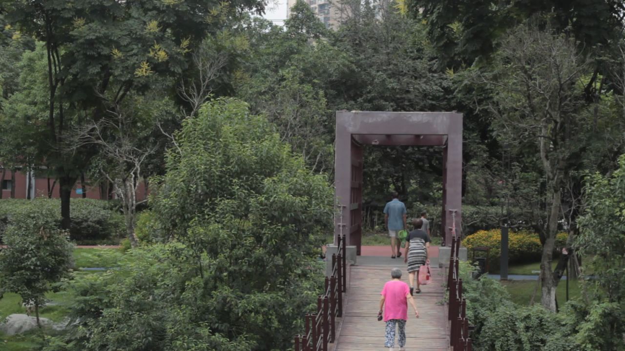 熊猫基地，沙河，锦江339绿道