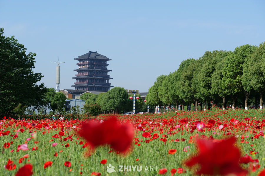 古楼 10