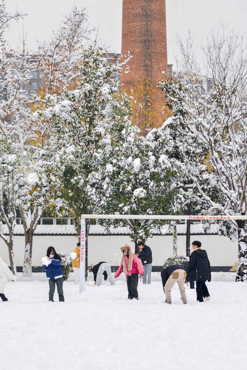 冬季大学生打雪仗
