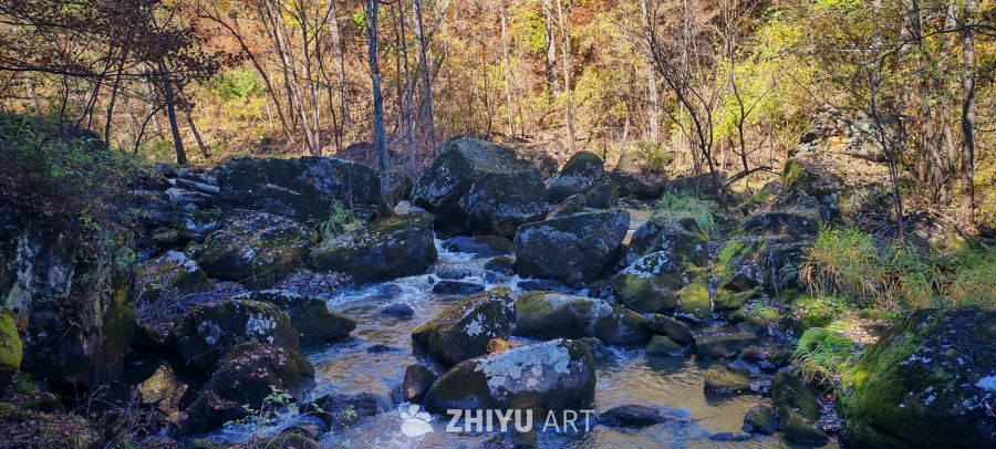 秋溪苔石伴彩林