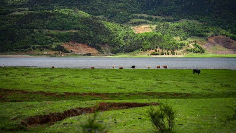 丽江文海村