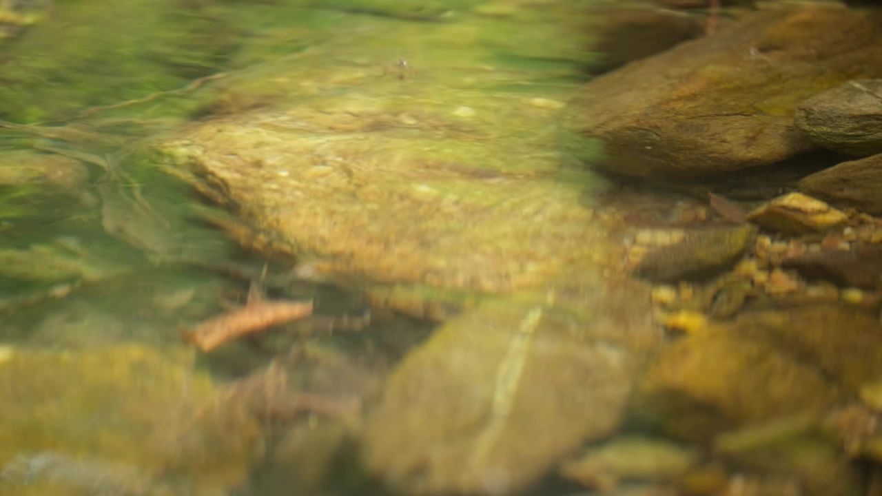 山泉水矿泉水潺潺小溪流水瀑布 42