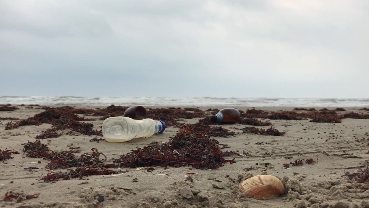 海滩瓶污染沙