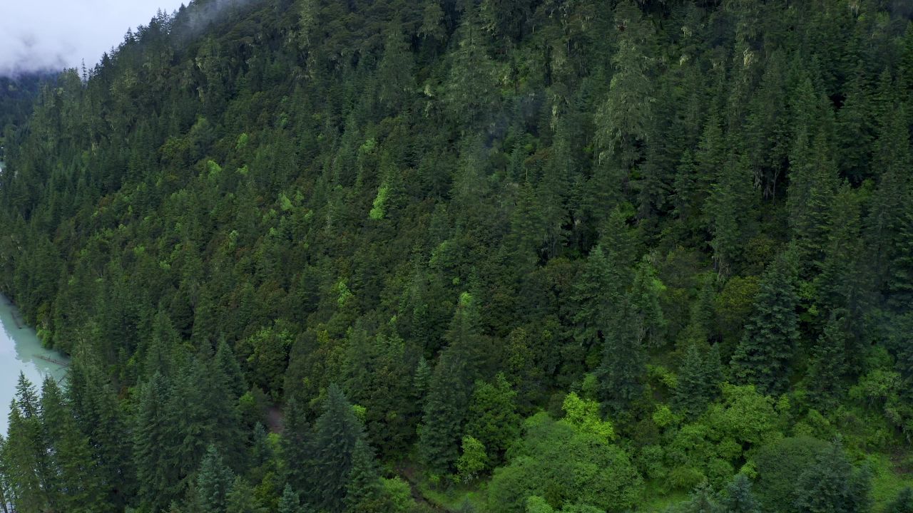 航拍川西莲花湖月亮湾湿地风景