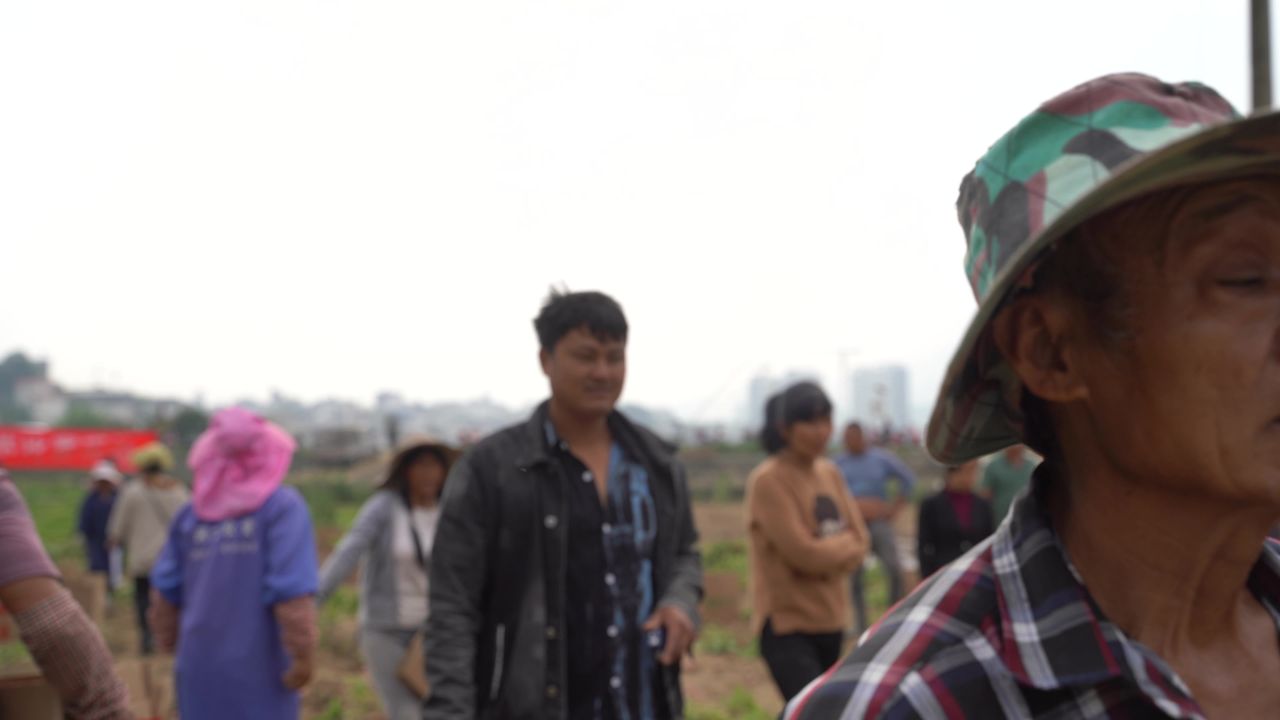 丰收 19