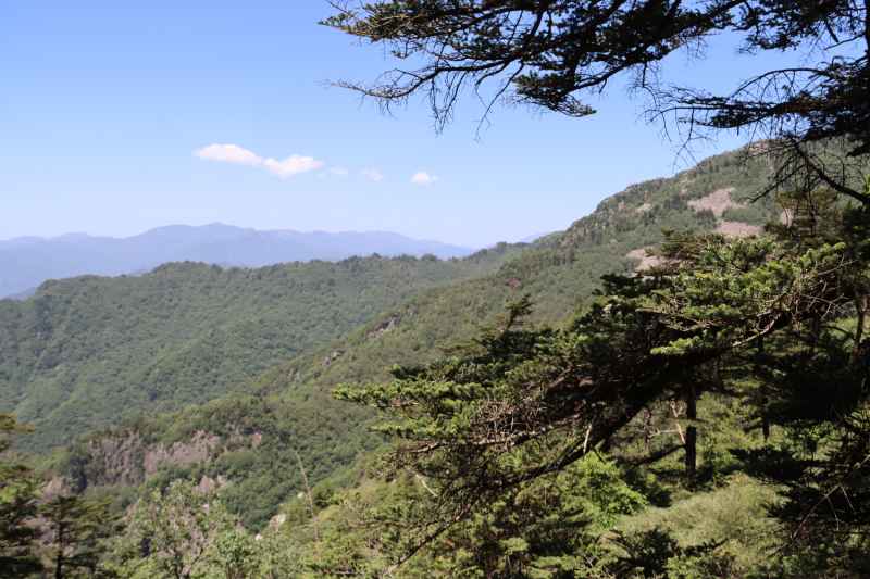 自然风光——翠华森林公园