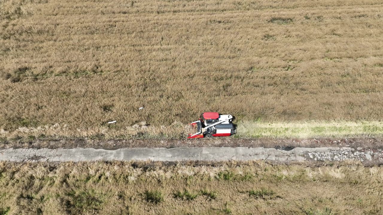 4K航拍昆山农业夏收 18