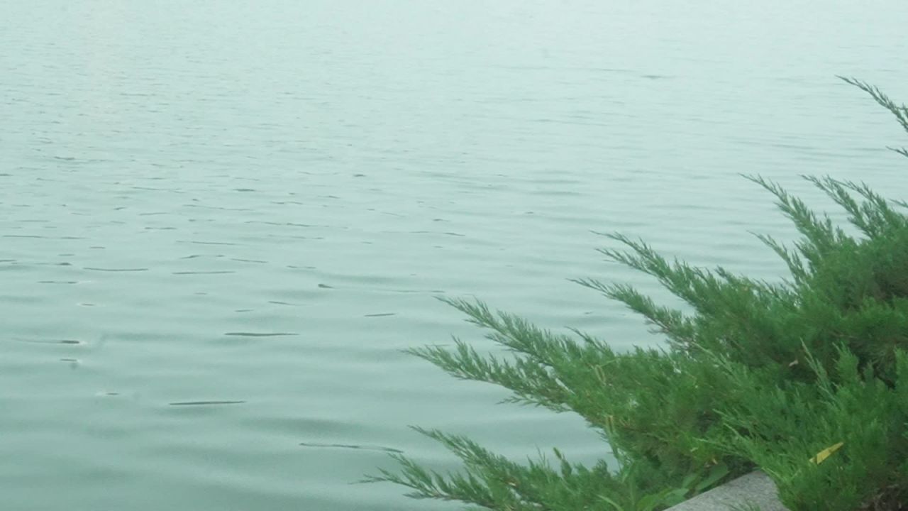 北海公园的风景 5