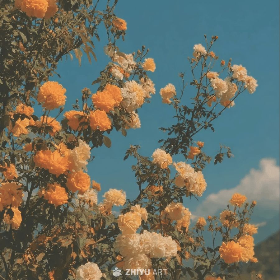 朋友圈背景图 32