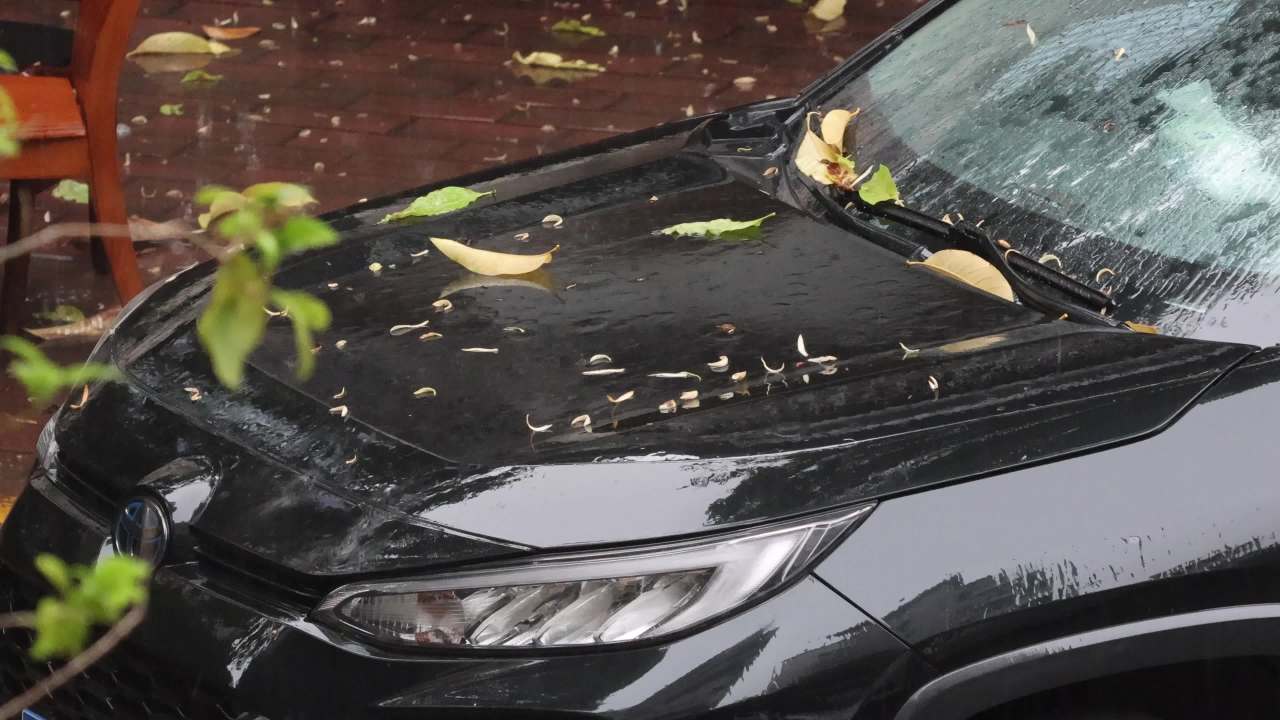 初夏的雨-雨中汽车