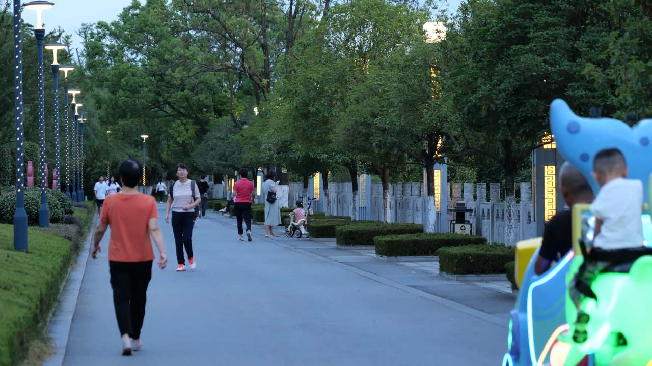 夕阳下的大桥 17