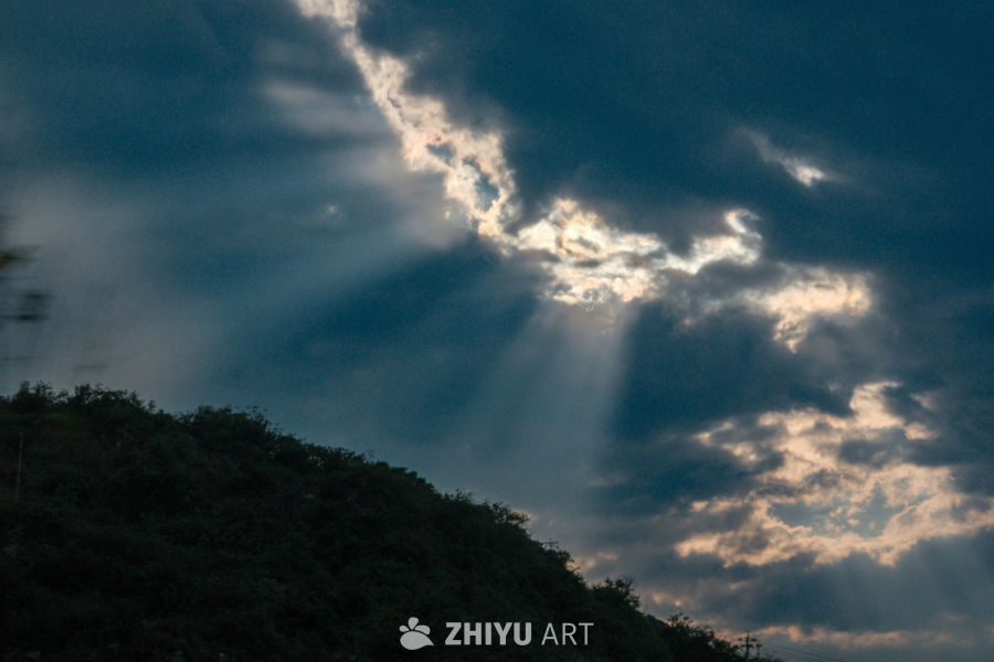 春与花 2