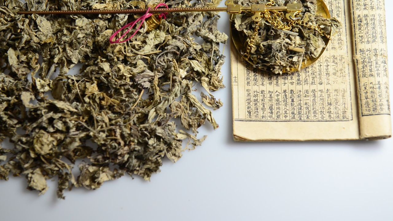 艾叶中草药 25