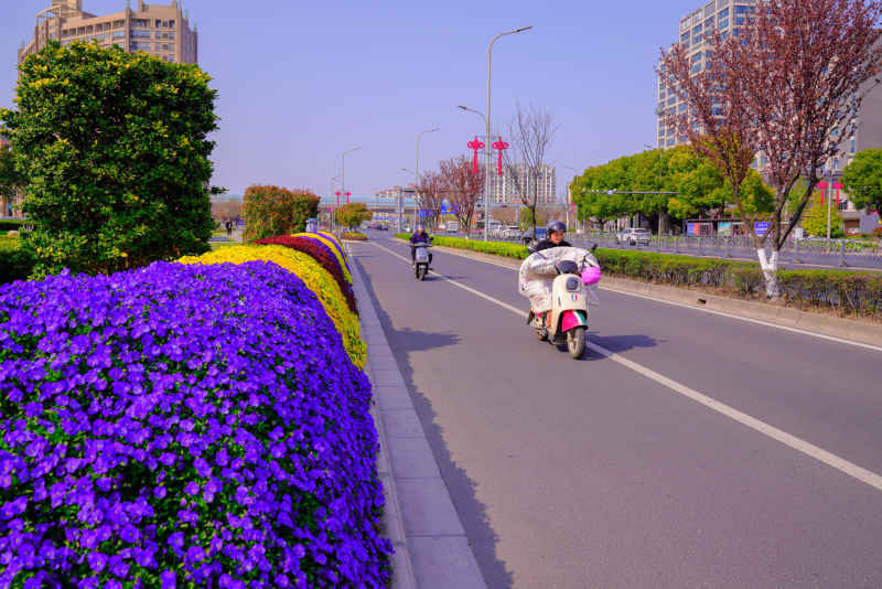 游园赏春 13