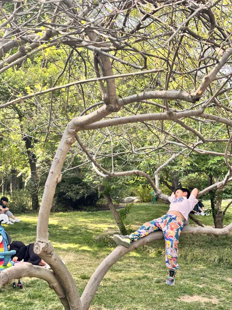 春游随拍 31