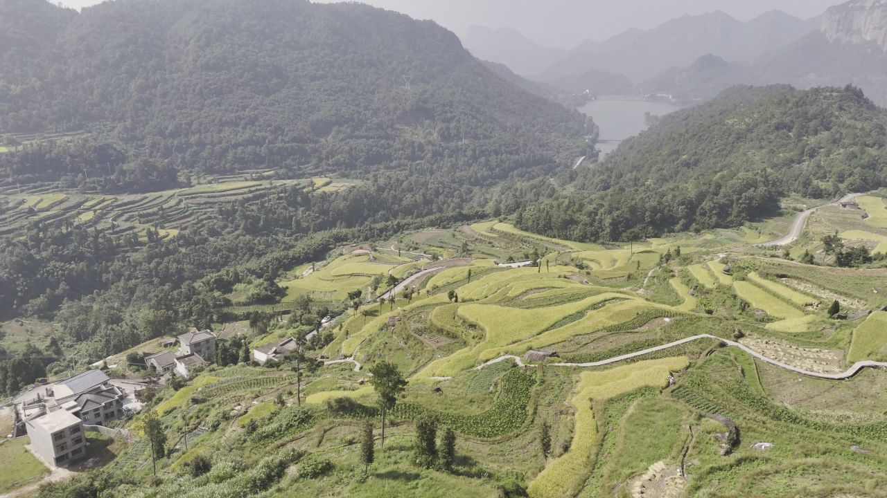 温州中雁荡山与梯田水稻 2