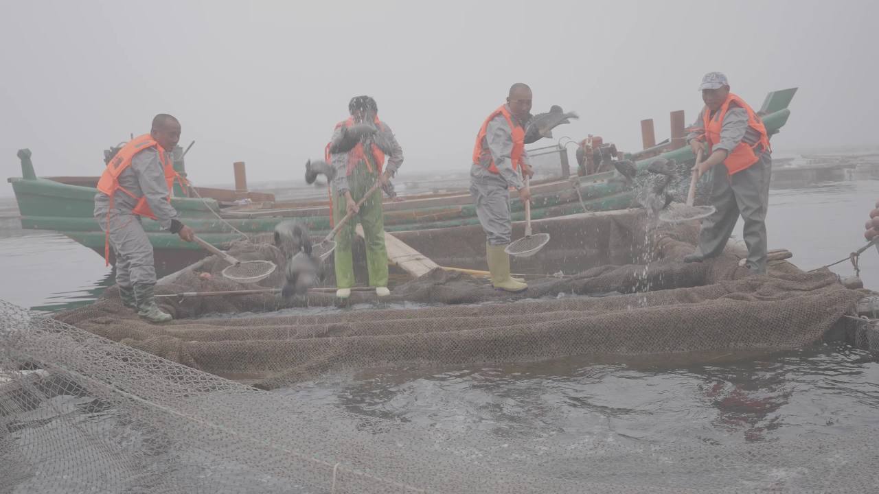 渔民捞鱼作业场景