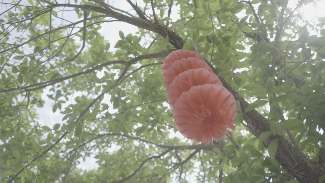 灯笼 1