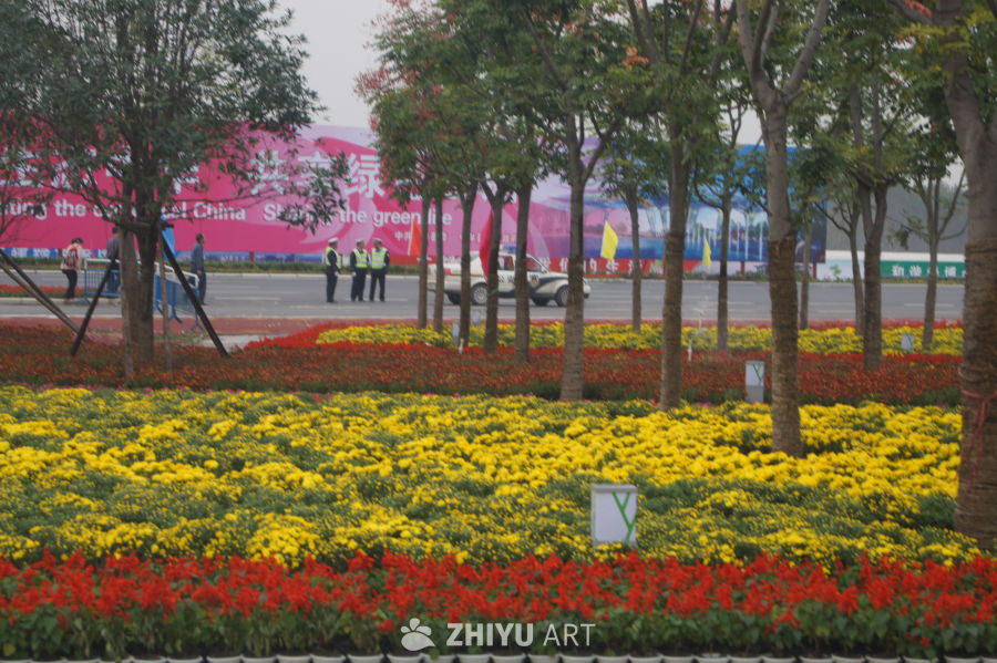花海与城市风景