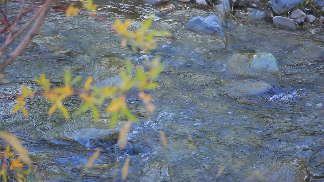 溪流