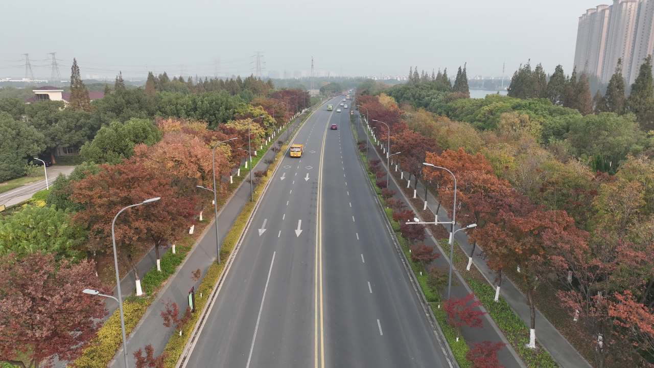 4K航拍昆山道路秋色 6