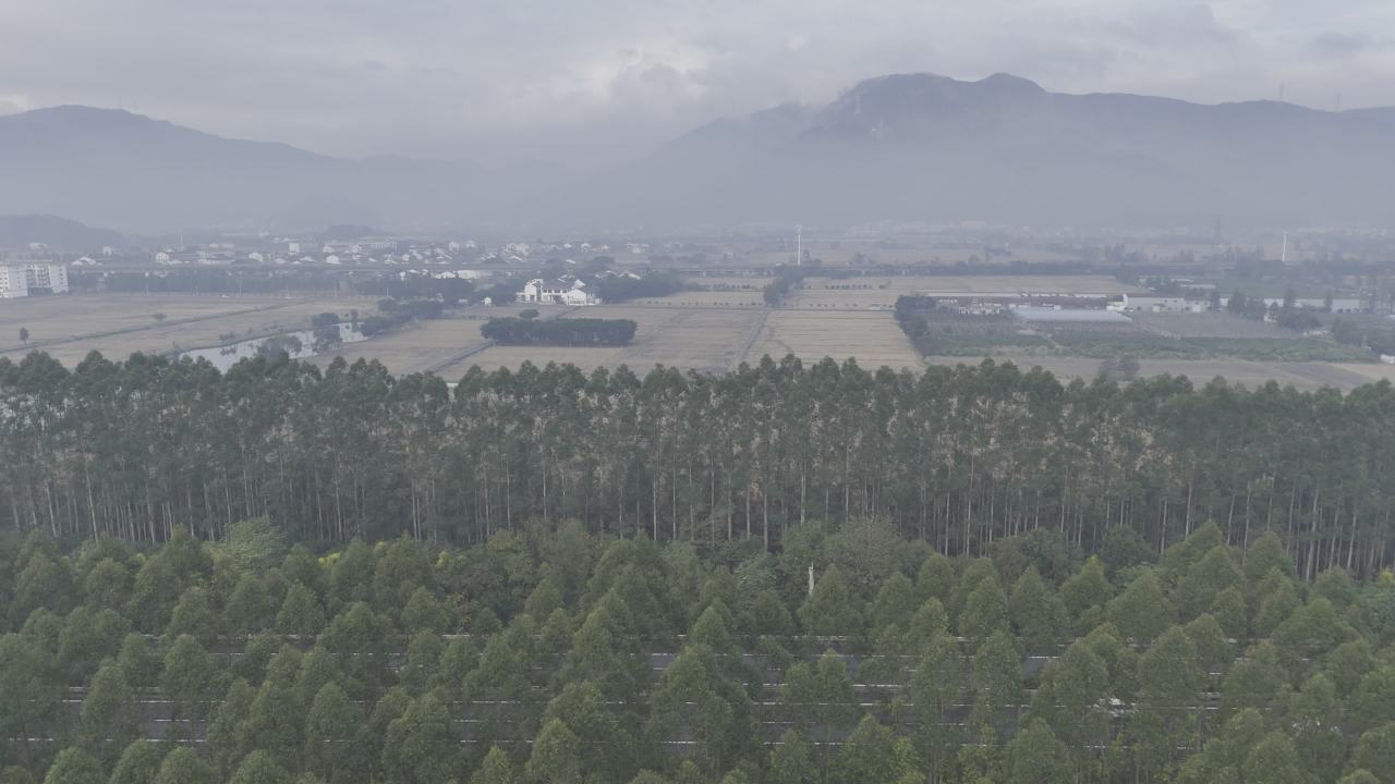 农村党群服务中心 7