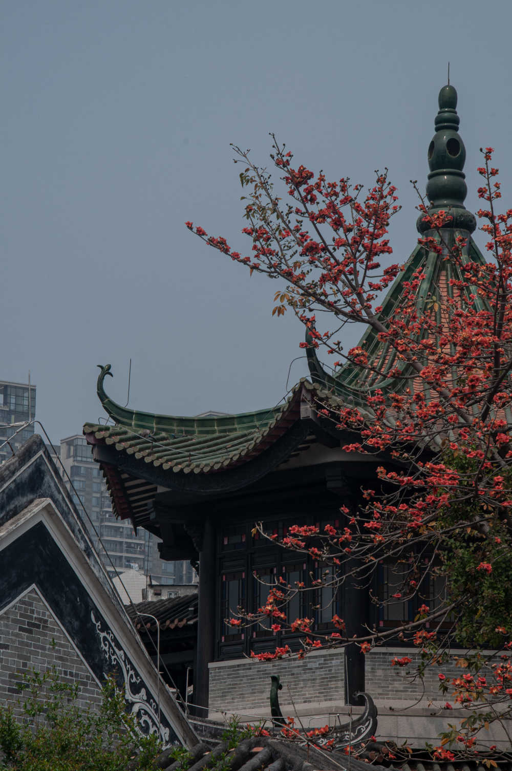 春天