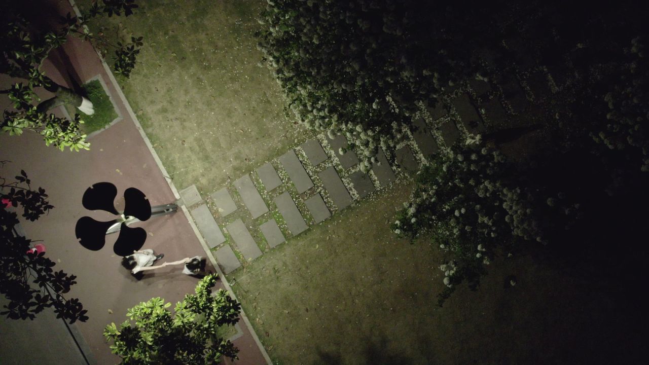 夜晚绣球花 3