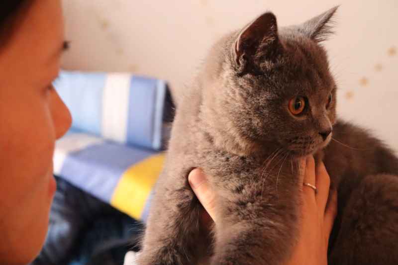 蓝猫自拍 24