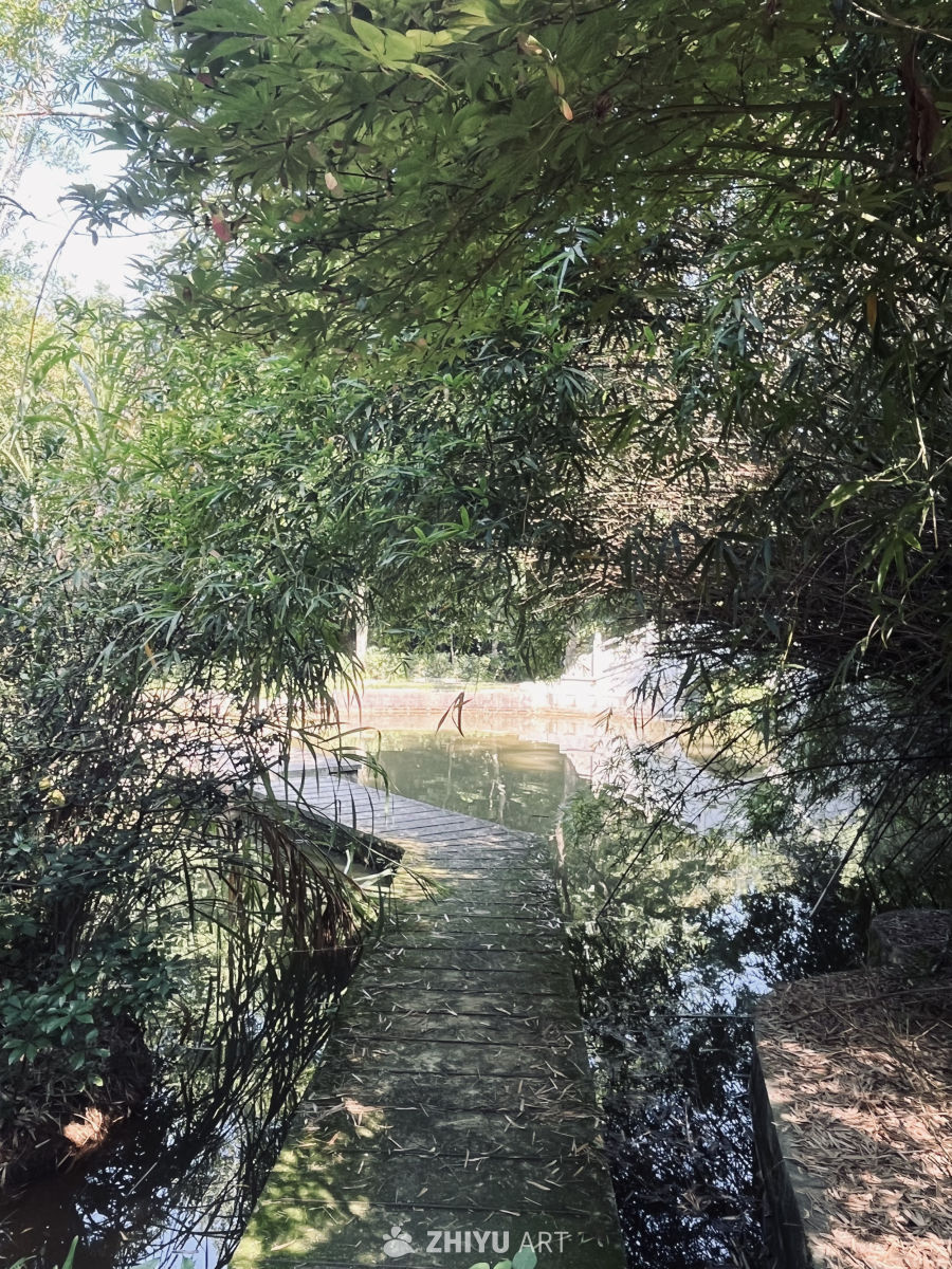 竹林小桥静谧景