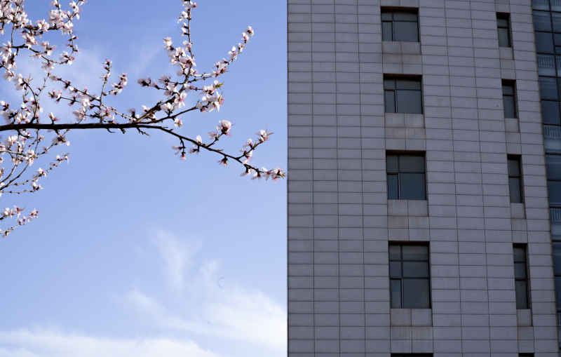 大楼外