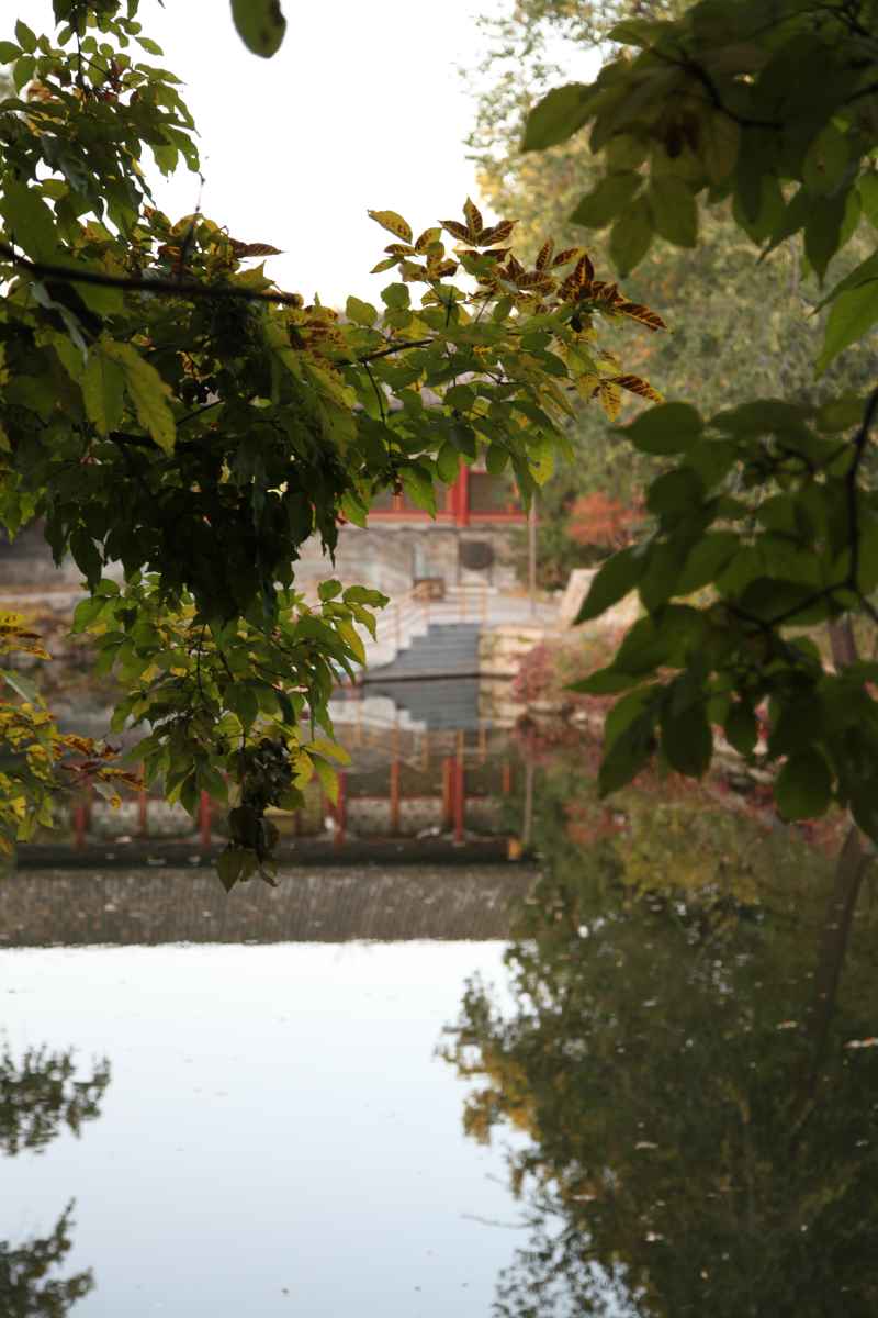 风景 46