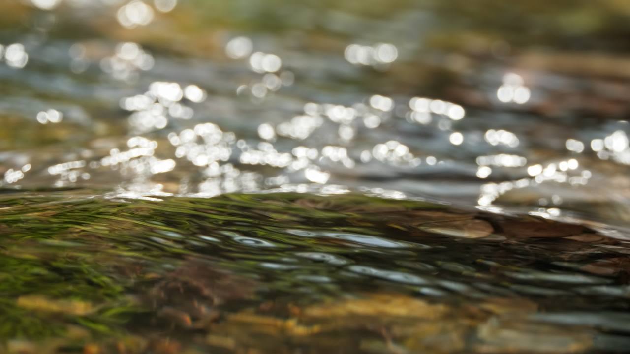 山泉水矿泉水潺潺小溪流水瀑布 22