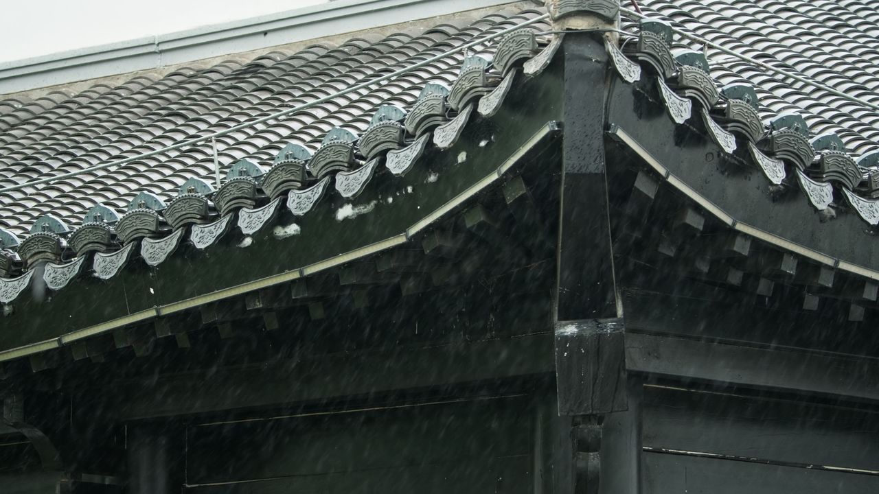 清明下雨阴天4K实拍空镜