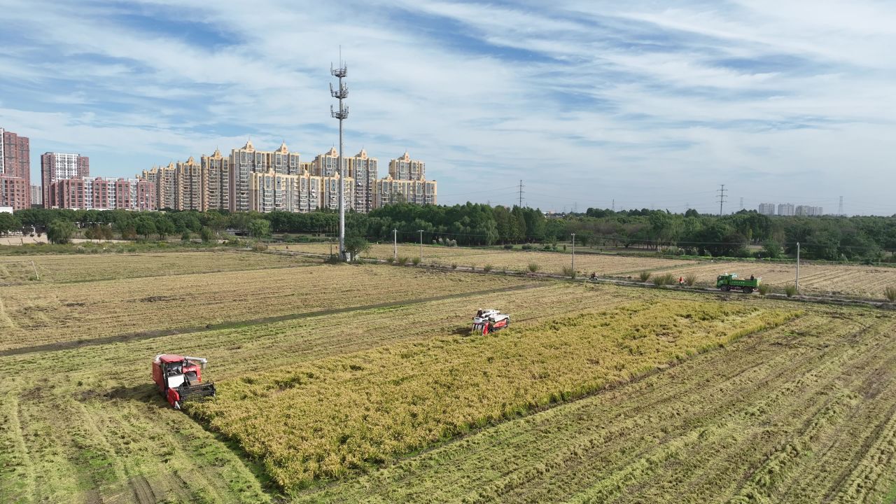 航拍乡村秋收现场 1