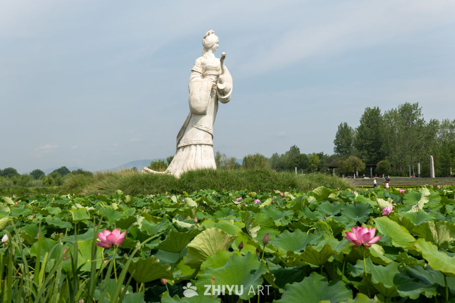 荷花 166