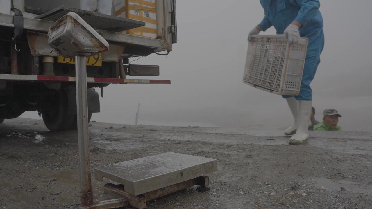 渔民海上捡拣鱼类工作场景