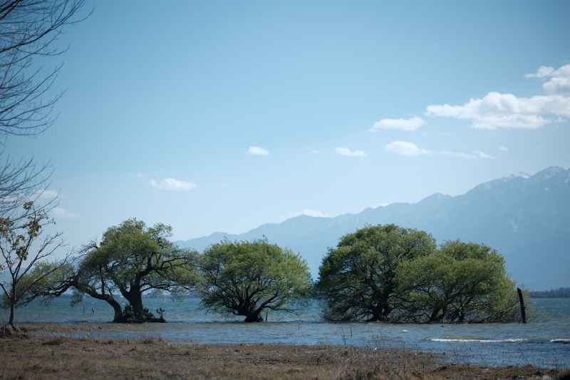 洱海边
